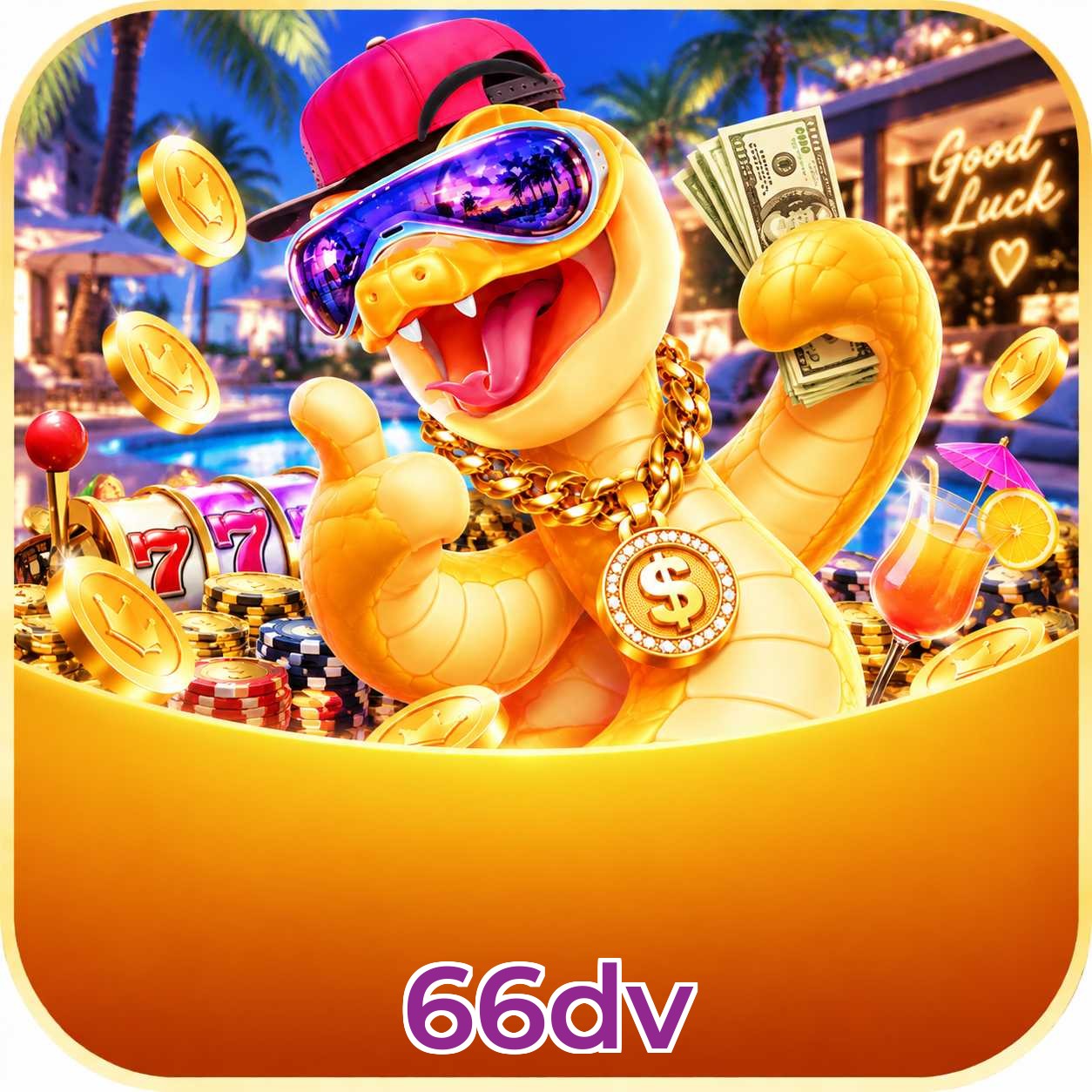 66dv Registration Guide
